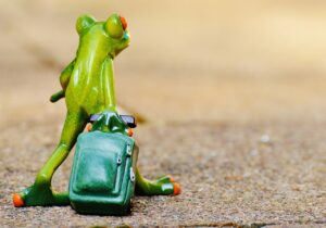 AGAの無料診断を受けながら楽しむ台湾旅行の魅力は？