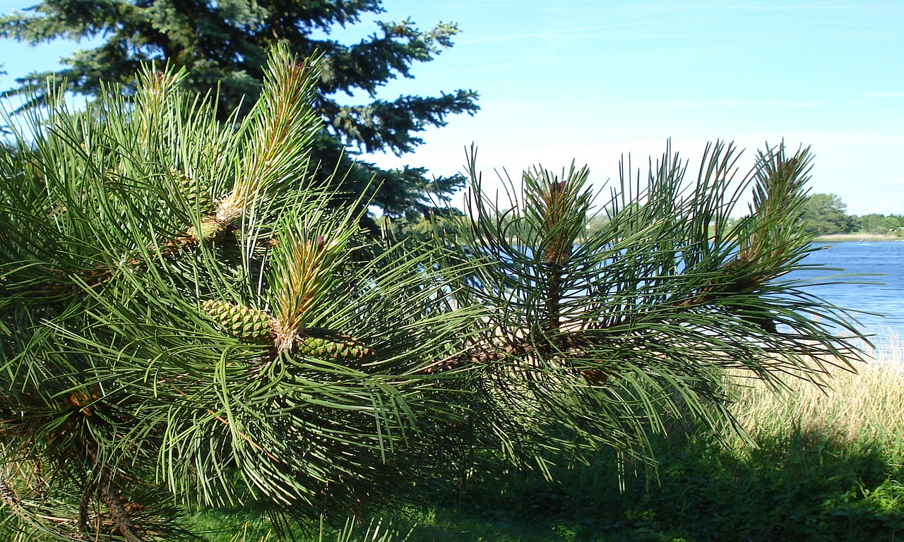 AGAの無料診断を定期的に送付してもらう方法は？