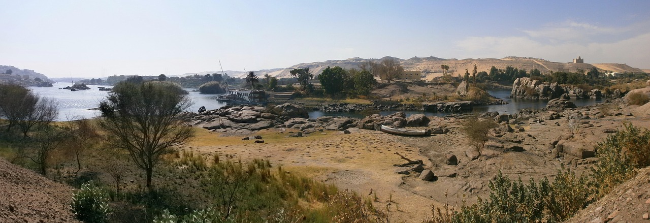 AGAの初期症状をセルフチェックする方法は？