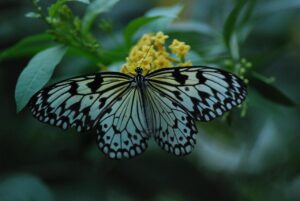 男性の分け目が広がる原因とは？