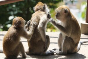 頭皮のかゆみやフケ、抜け毛の関連性とは？