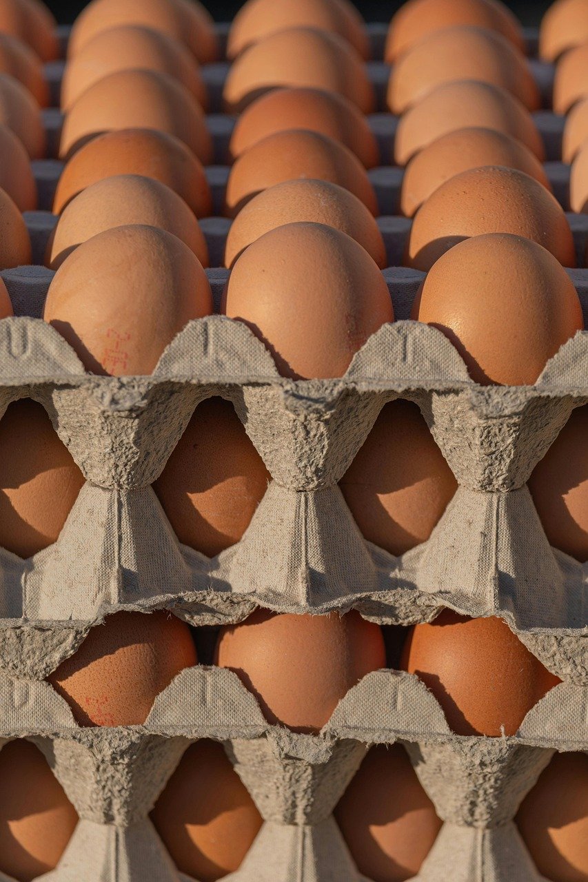 プロテインを飲むと薄毛になるか？