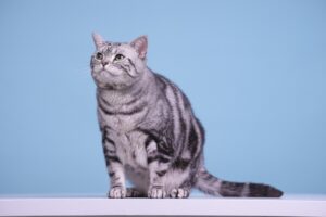 ヘアカラーの頻度が薄毛に与える影響とは？