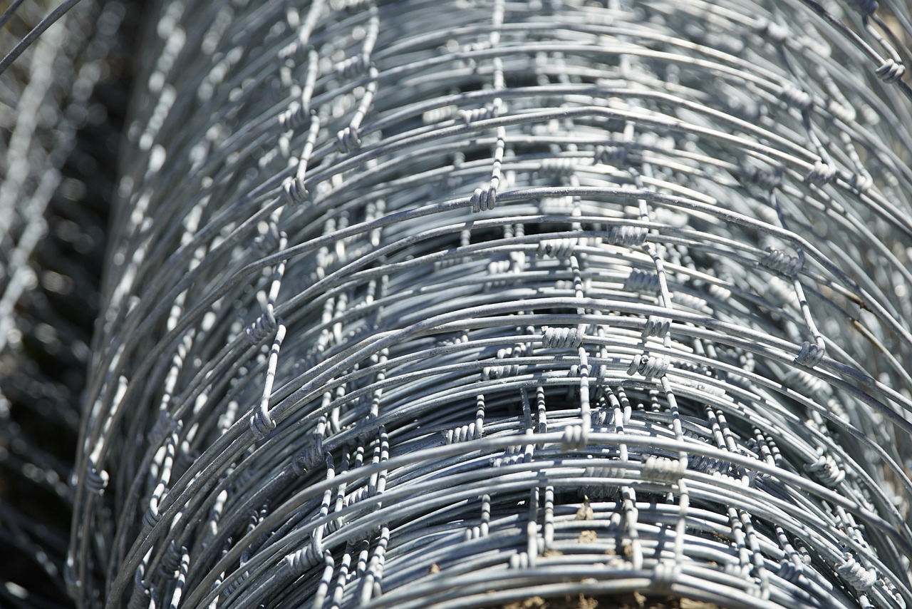 亜鉛不足が引き起こす薄毛の症状をチェックする方法は？