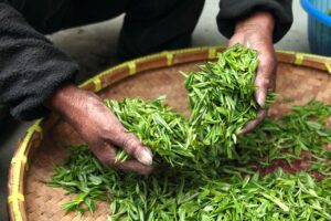 頭皮の乾燥対策に効果的な保湿方法は？