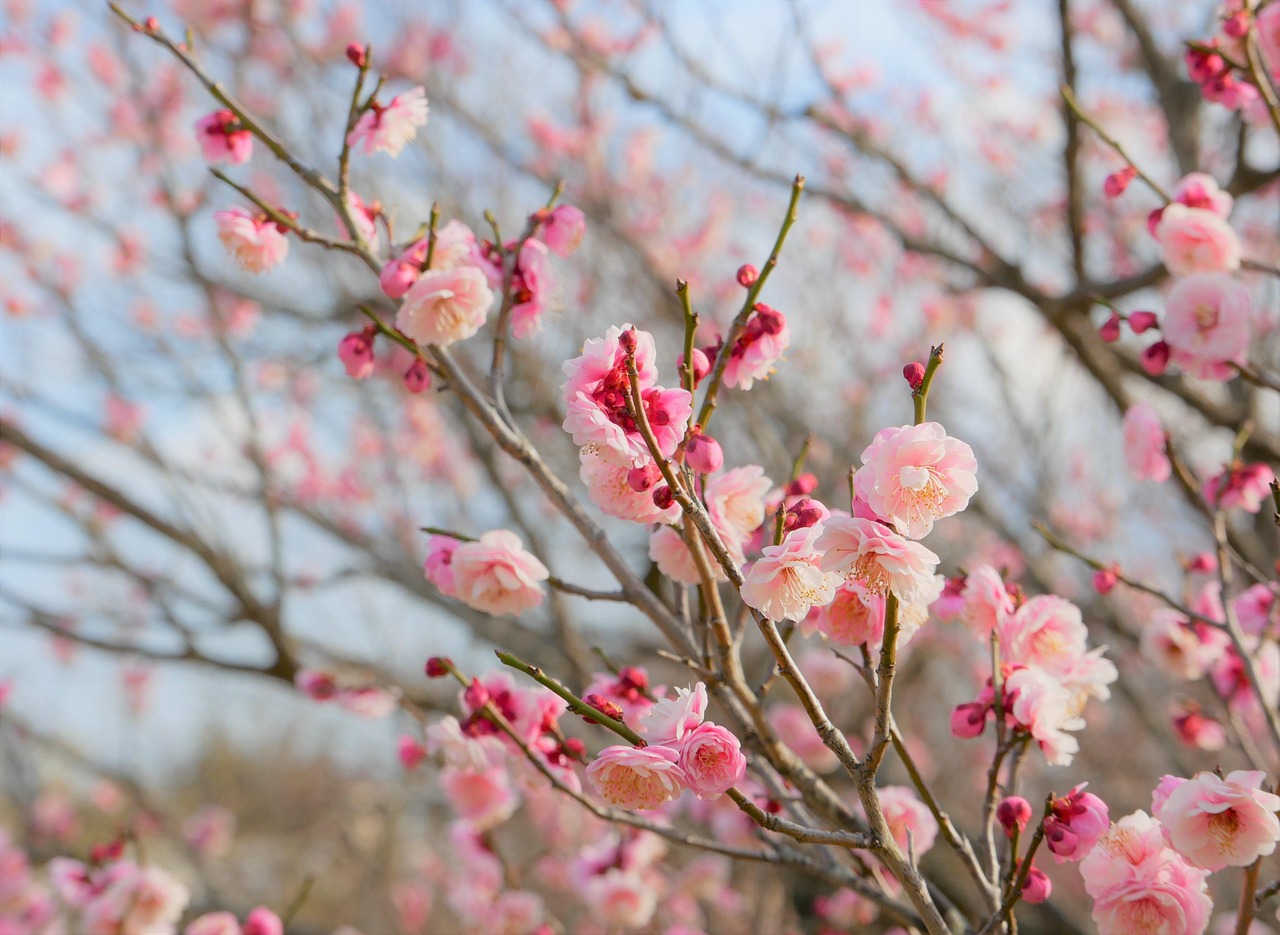 AGA治療の止めどきはあるのか？