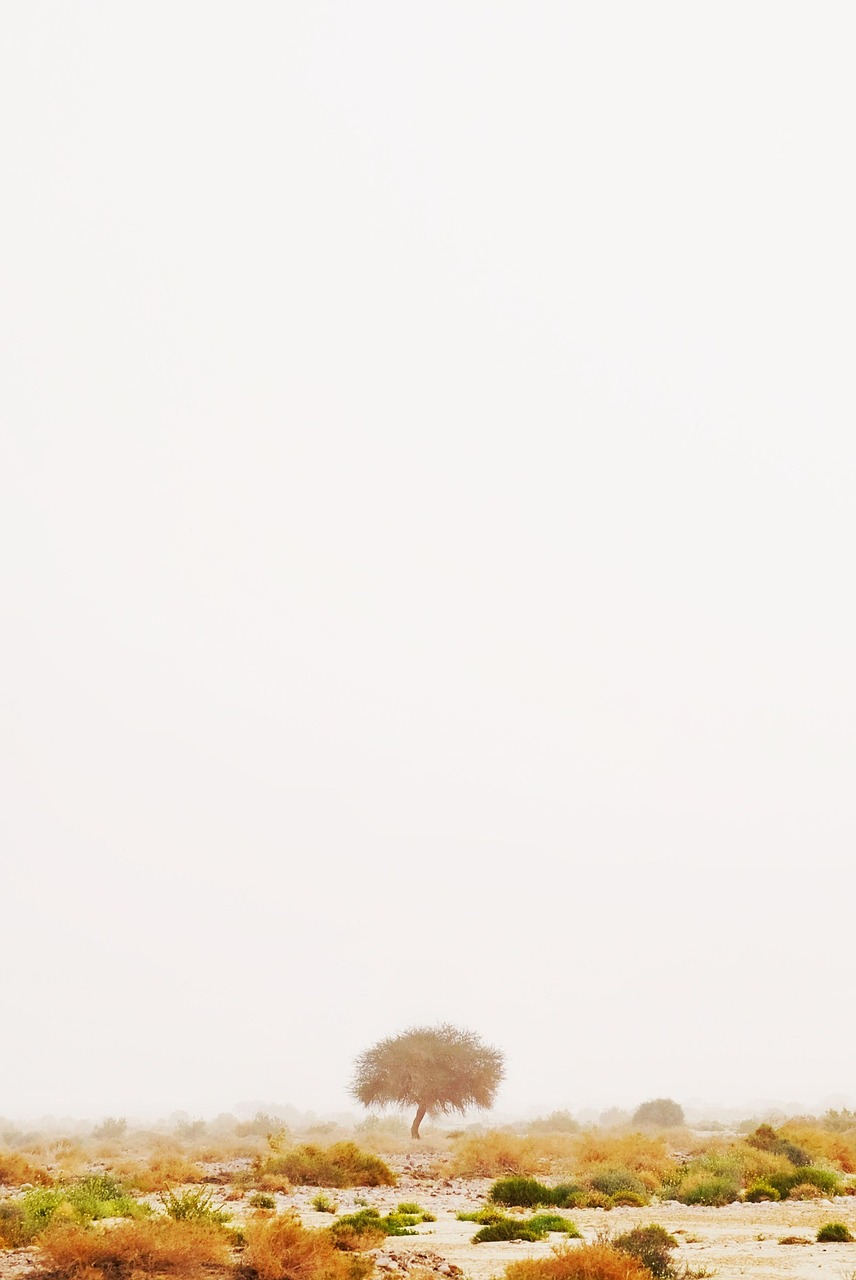 AGAクリニックの診察は5分で大丈夫なの？