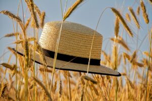 自毛植毛の術後に帽子はいつから被れるのか？